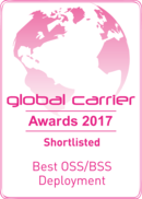 Finalist for the Global Carrier Award 2017 ZIRA