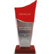 Oracle EMEA SOA Partner Community Award ZIRA